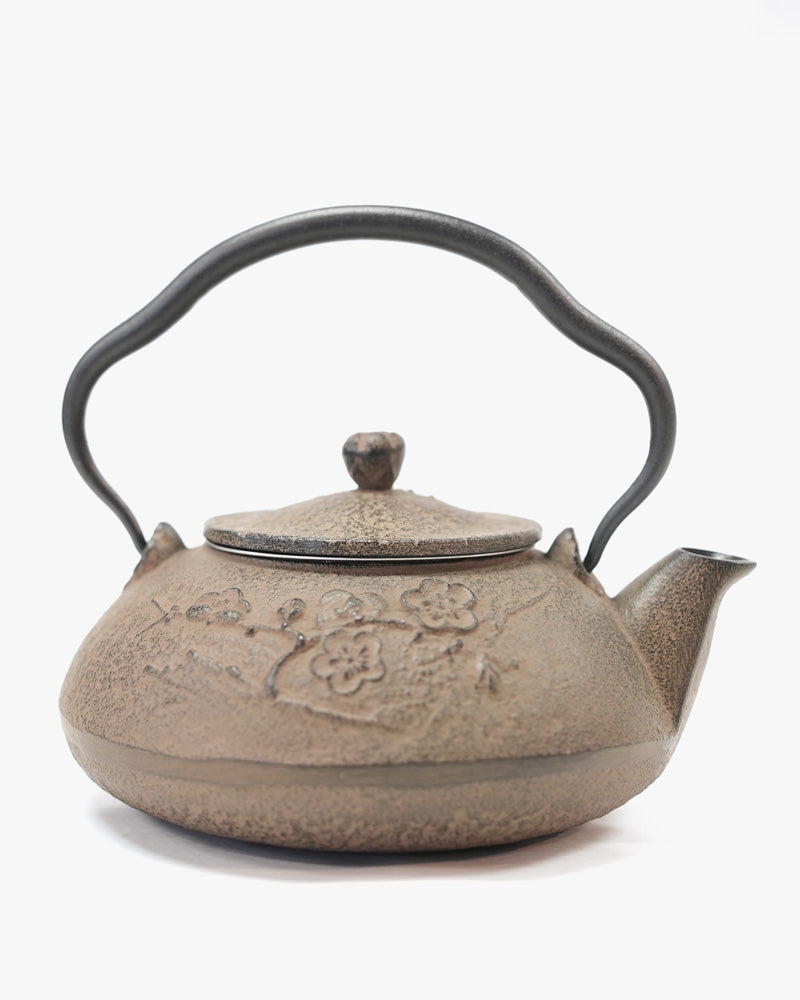 Authentic Japanese Nambu Cast Iron Kettle and Teapot Oitomi Since