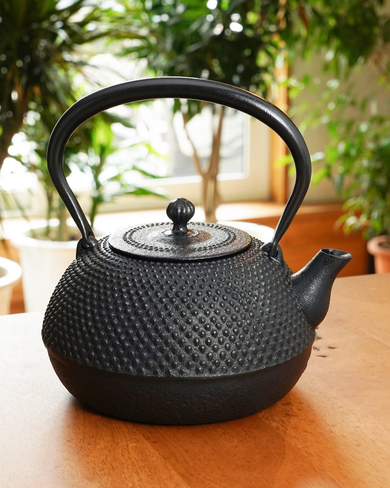 Nambu Tekki Cast Iron Moon Teapot – mogutable