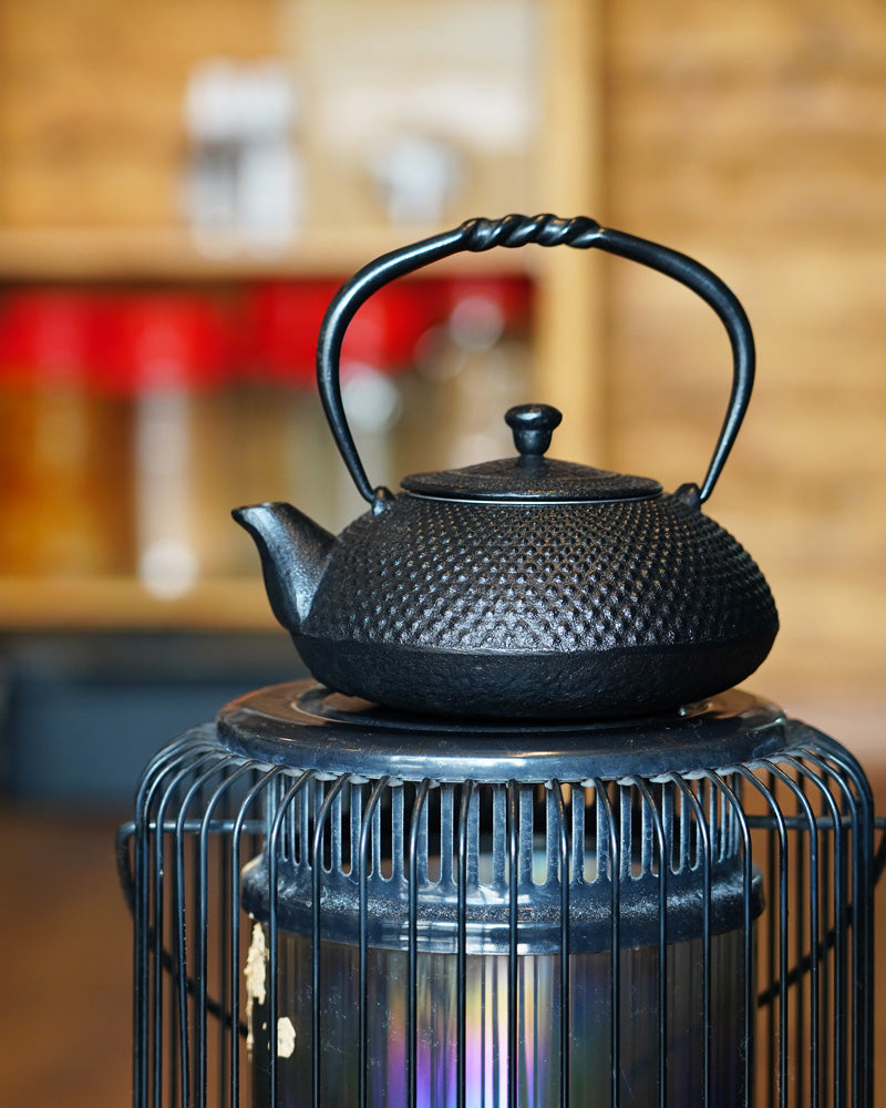 Nambu factory Tekki Cast Iron Teapot