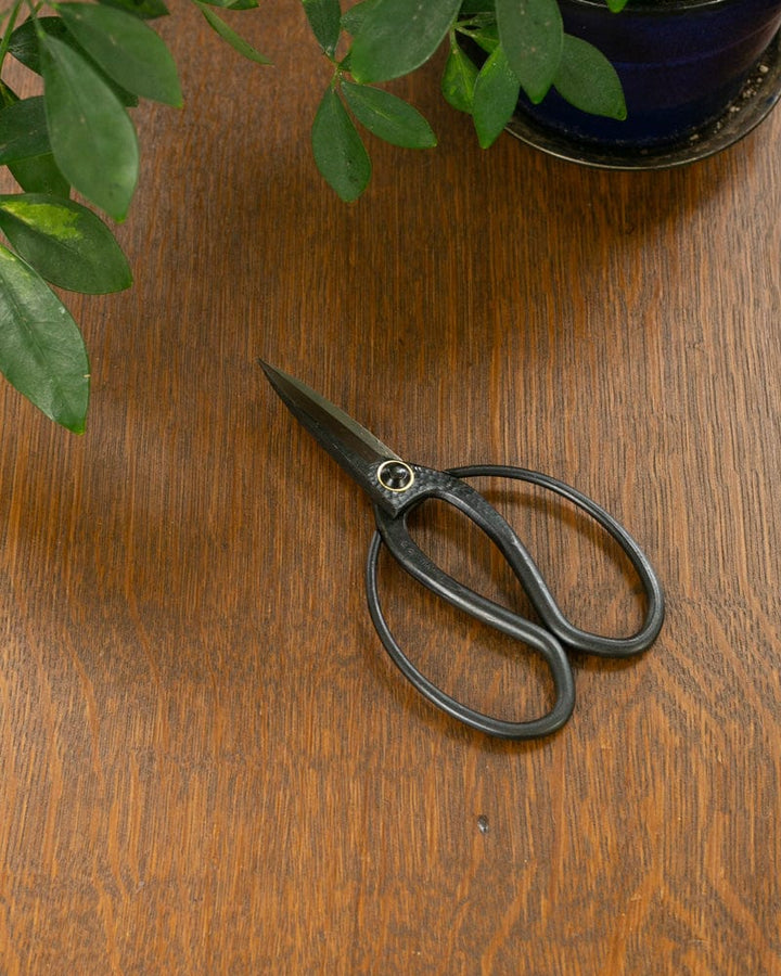 Tanabe Hasami, Japanese Gardening Scissors, Black Long Blade