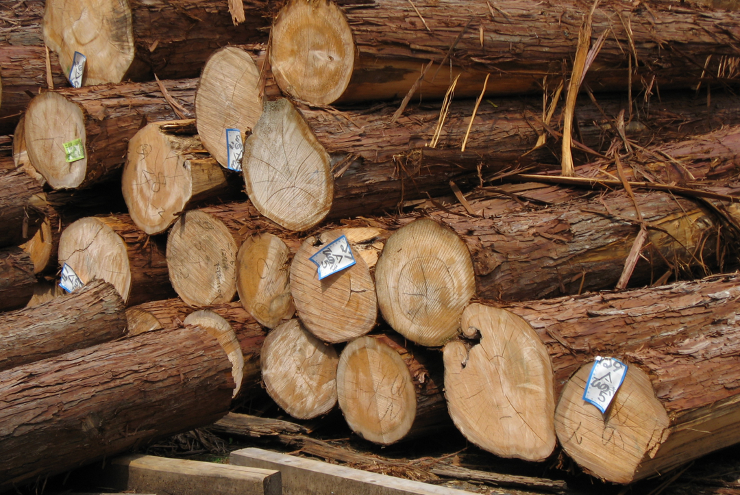 Yamaichi – Manufacturer of Hinoki Wood Items