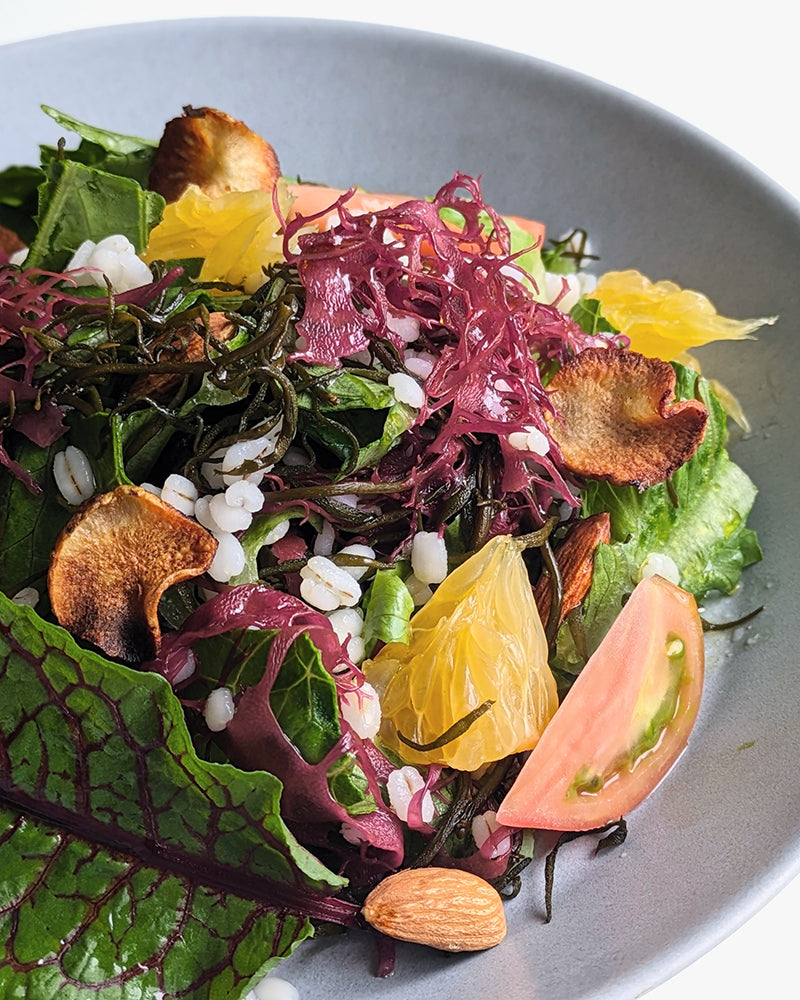 Sea Vegetables, Dried Tosakanori Seaweed