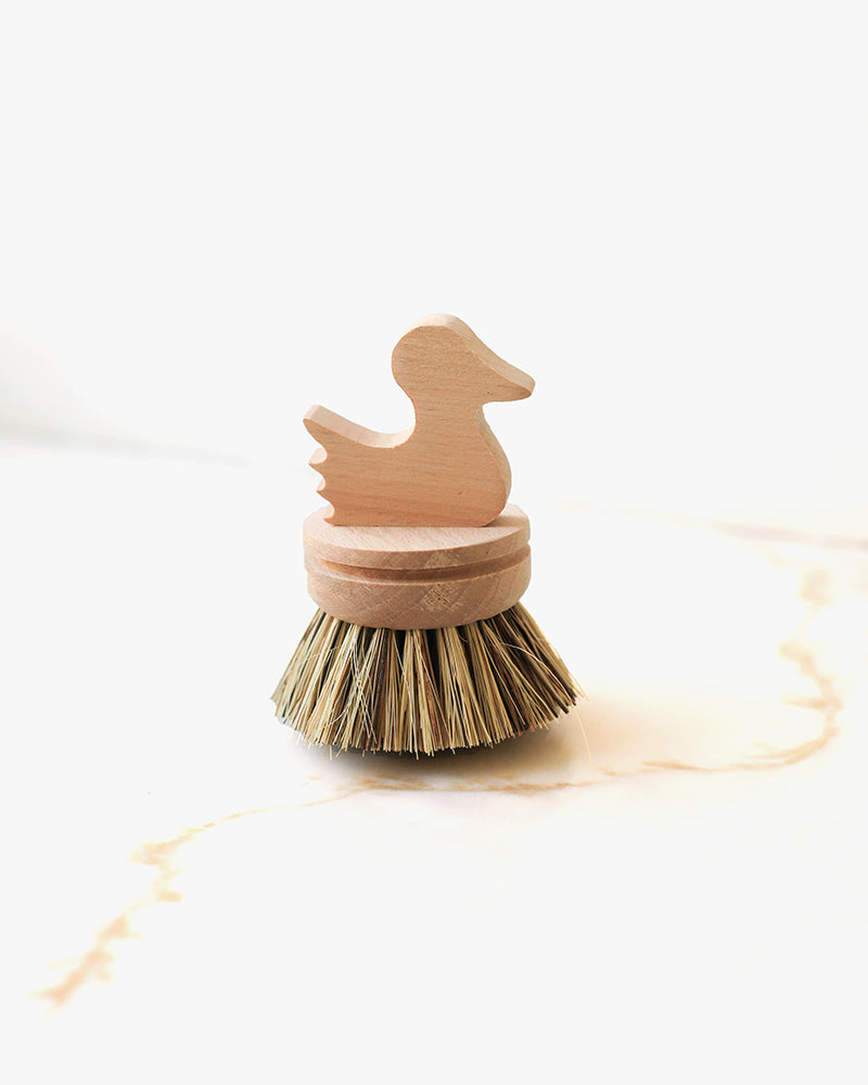 Fodory, Sea Animal Cleaning Brush