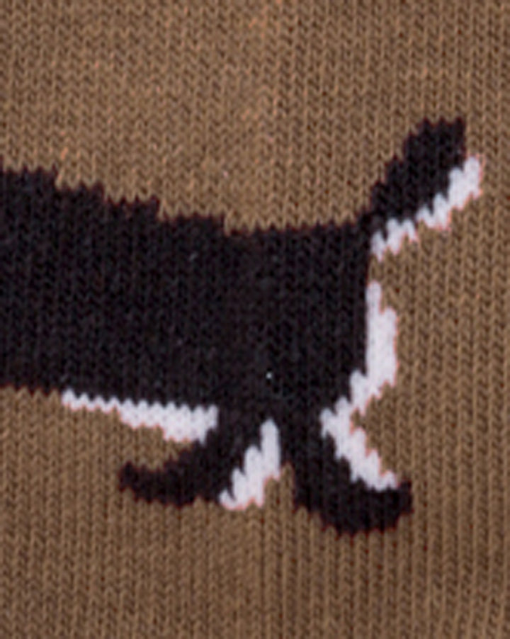 Bisque, CDF Etendue, Brown Dog Sock
