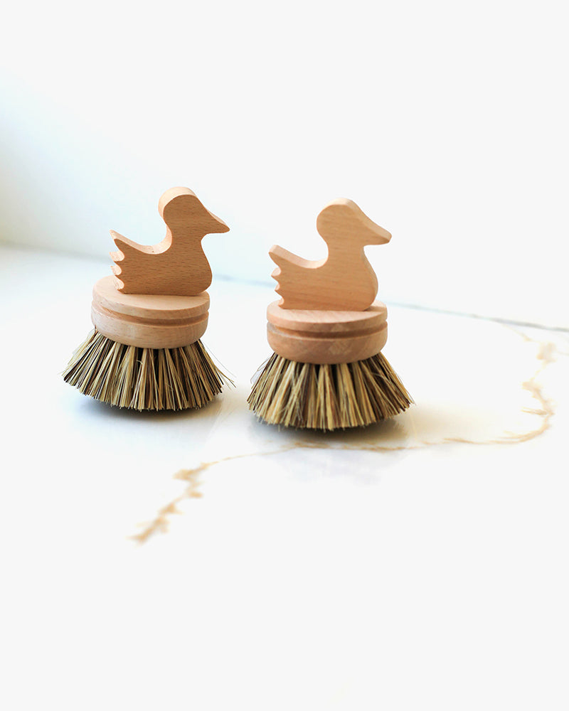 Fodory, Sea Animal Cleaning Brush