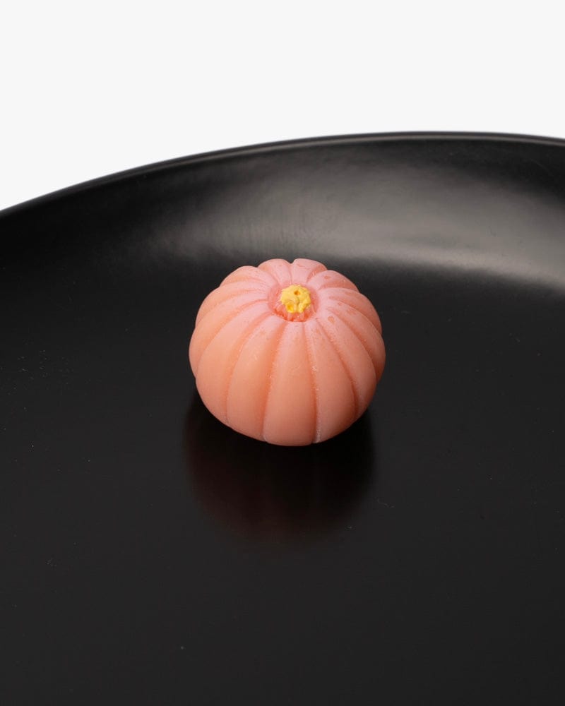 Magnet, Arutha, Wagashi Series, Kiku