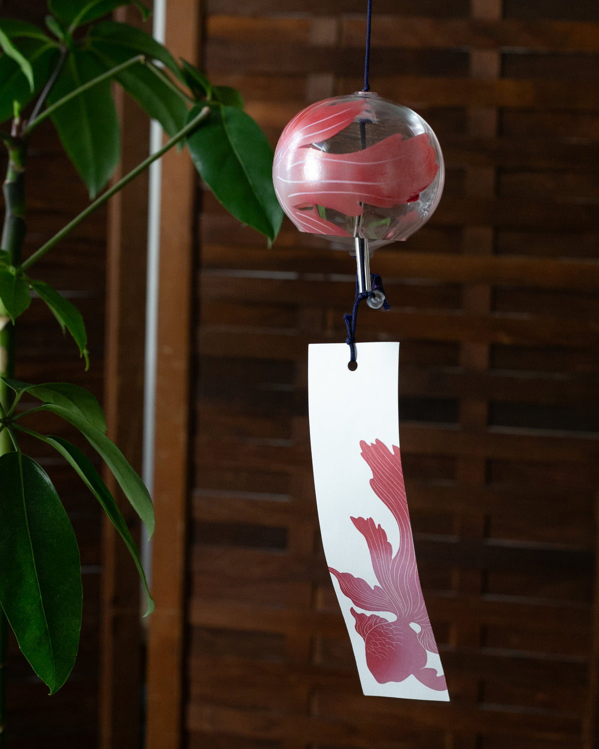 Fuurin, Wind Chime, Kingyo