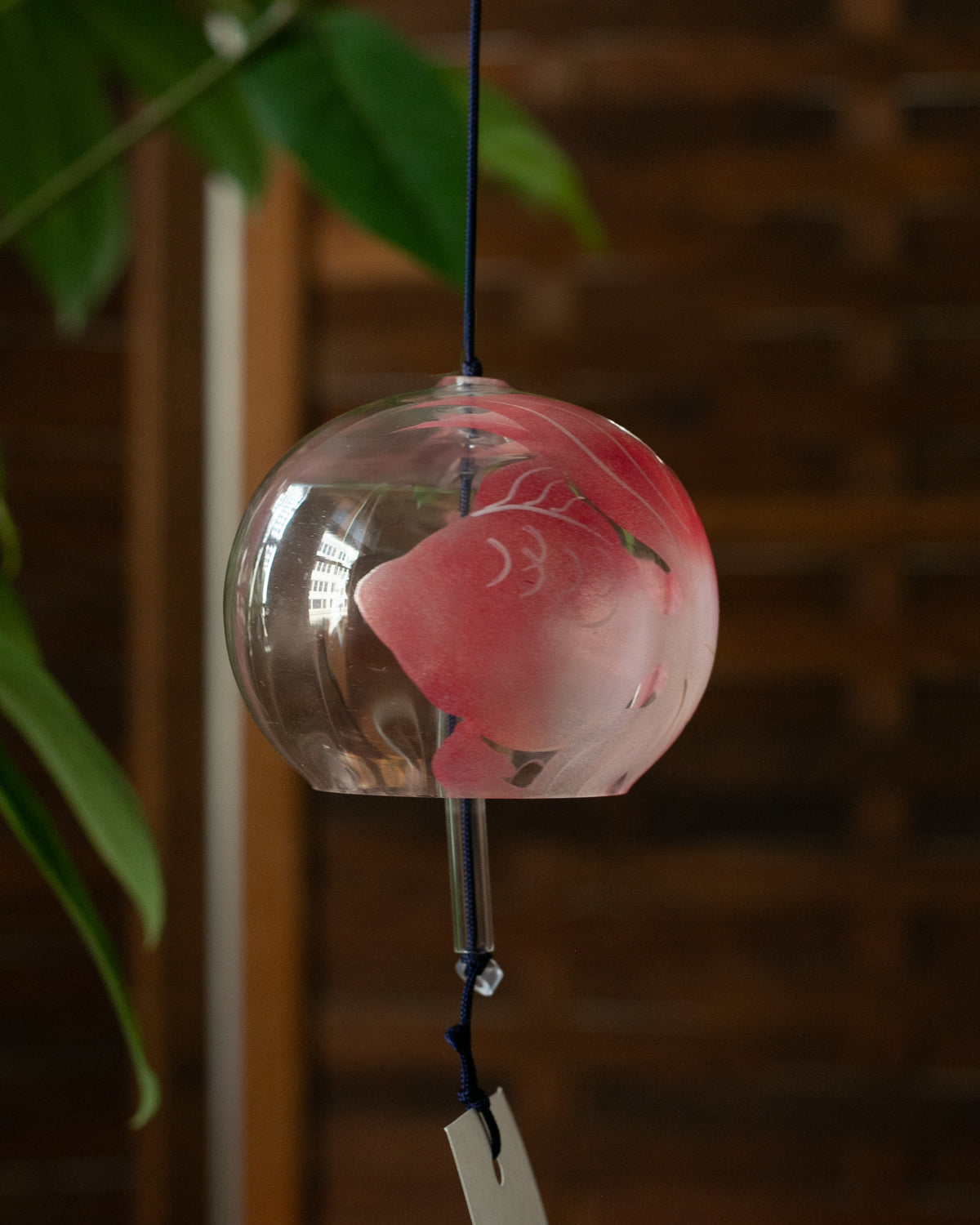 Fuurin, Wind Chime, Kingyo