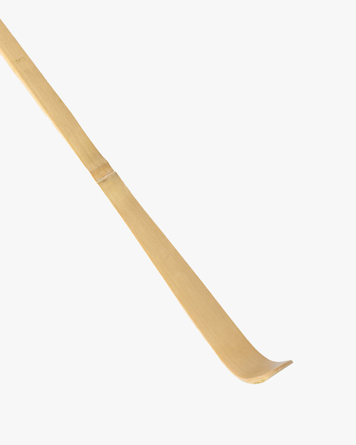 Bamboo Matcha Scoop