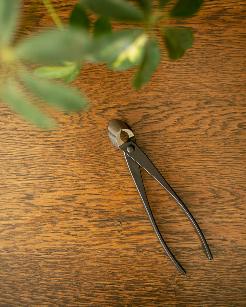 Tanabe Hasami, Branch Cutter