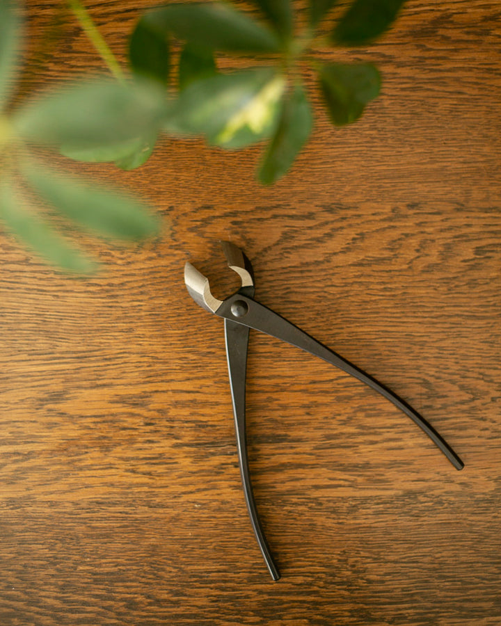 Tanabe Hasami, Branch Cutter