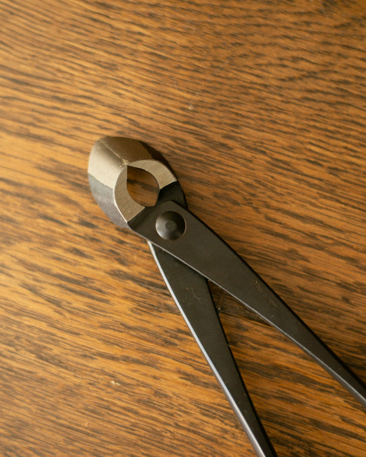 Tanabe Hasami, Branch Cutter