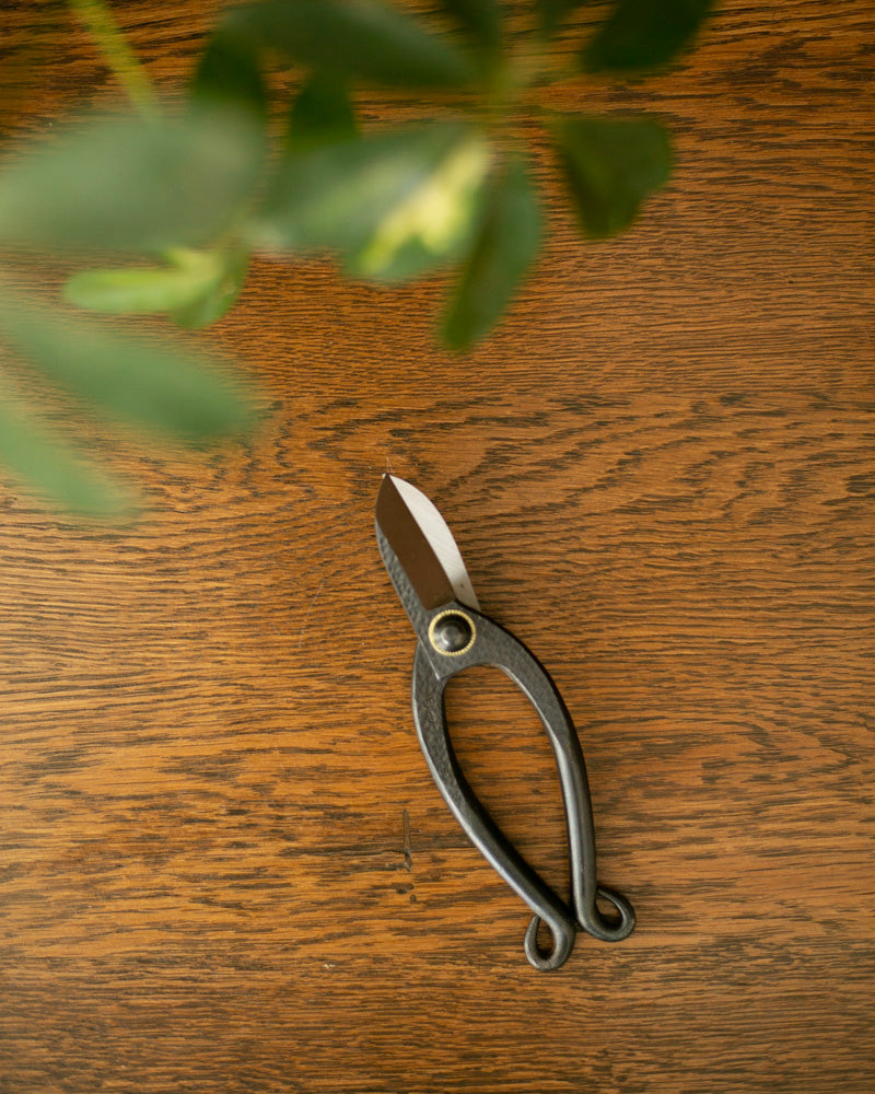 Tanabe Hasami, Traditional Ikenobou Flower Scissors, Black