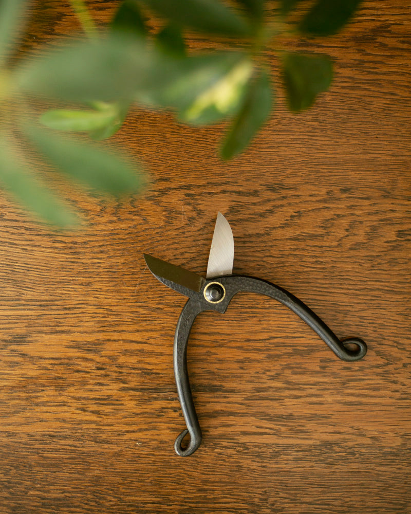 Tanabe Hasami, Traditional Ikenobou Flower Scissors, Black
