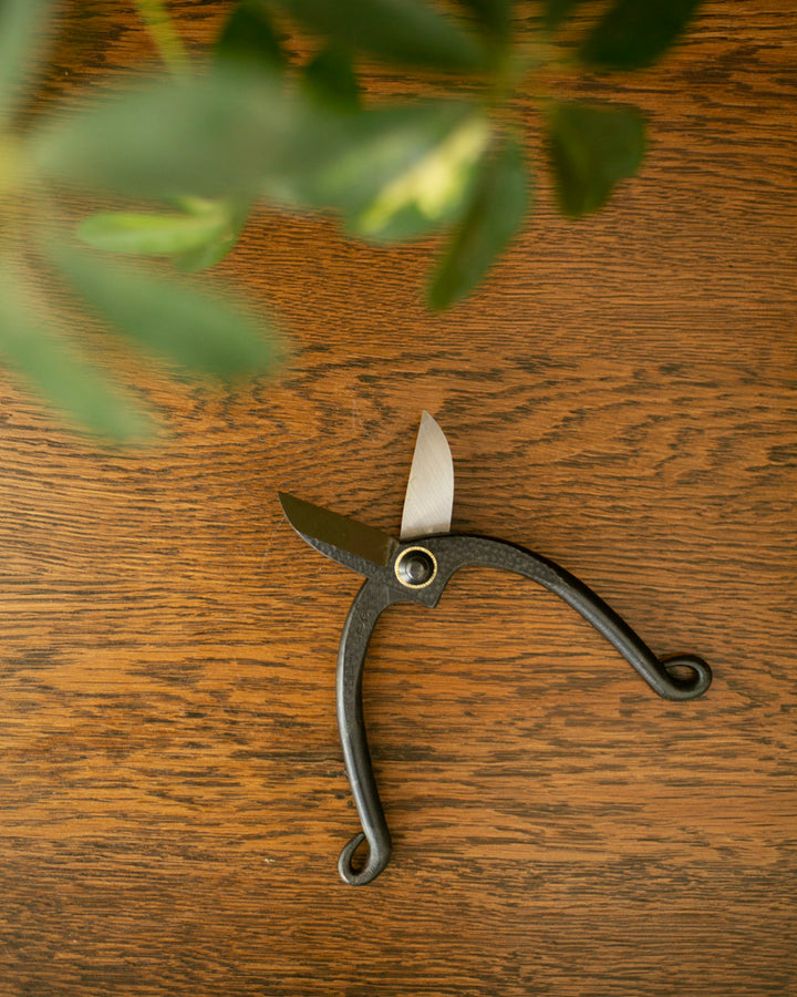 Tanabe Hasami, Traditional Ikenobou Flower Scissors, Black