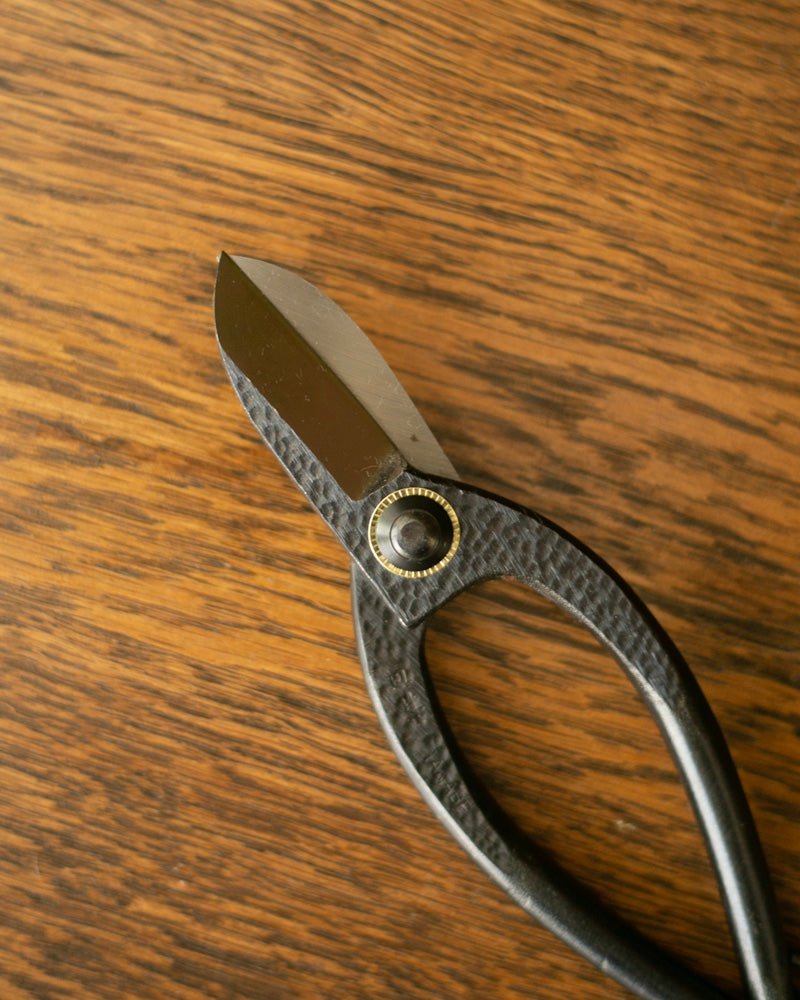 Tanabe Hasami, Traditional Ikenobou Flower Scissors, Black