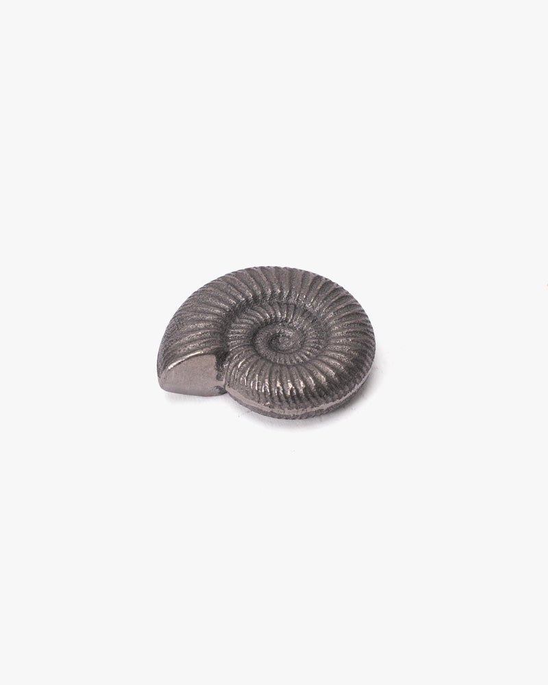 Paperweight, Oitomi, Ammonite