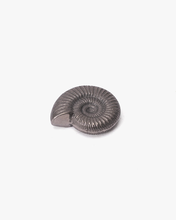 Paperweight, Oitomi, Ammonite