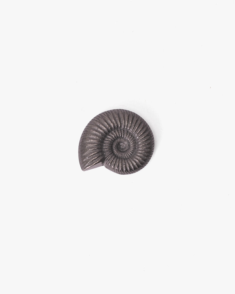 Paperweight, Oitomi, Ammonite