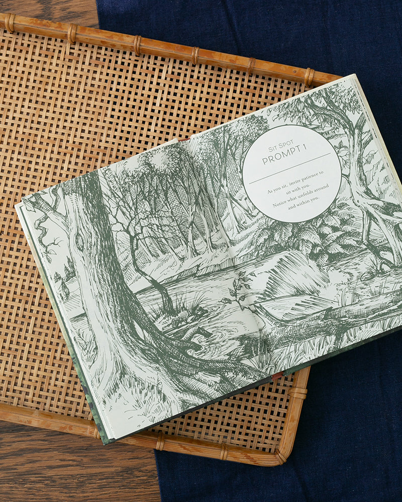 ENG: Healing Trees: A Pocket Guide to Forest Bathing