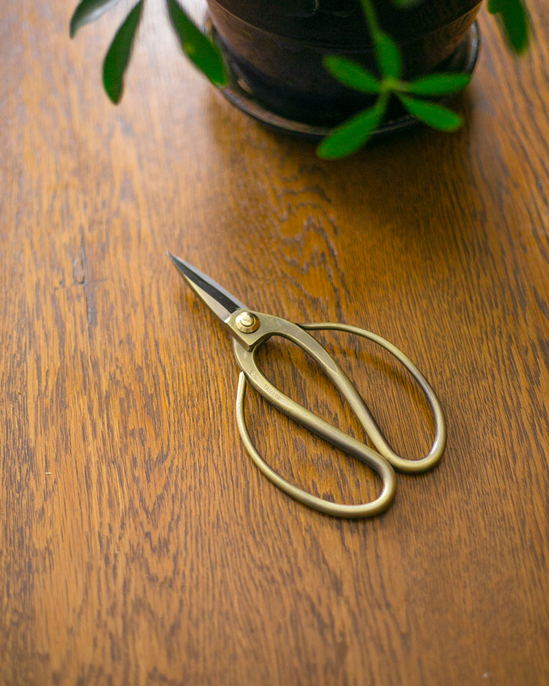 Tanabe Hasami, Japanese Bonsai Scissors, Bronze