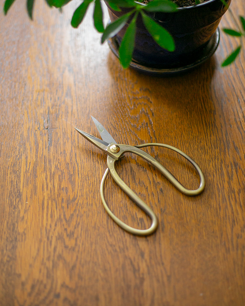Tanabe Hasami, Japanese Bonsai Scissors, Bronze