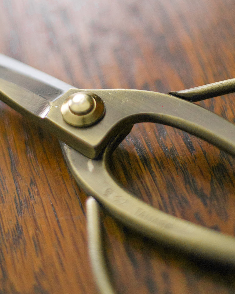 Tanabe Hasami, Japanese Bonsai Scissors, Bronze