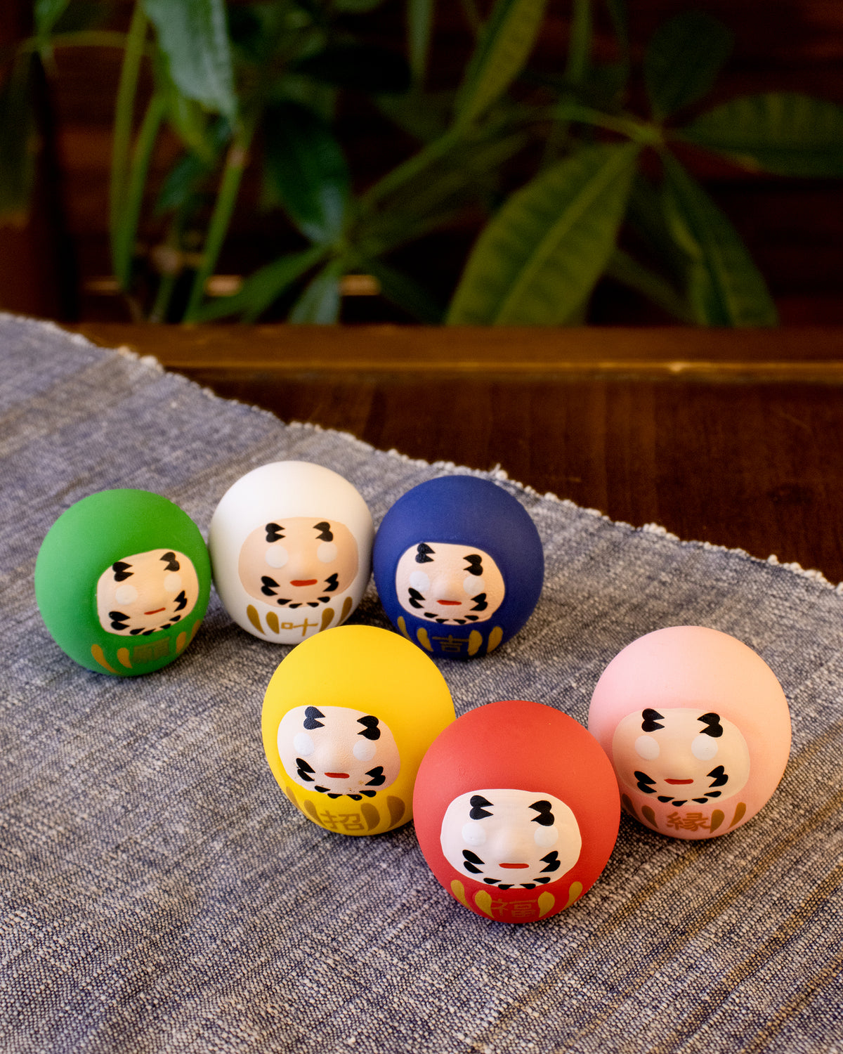 Wa Modern, Omikuji Daruma