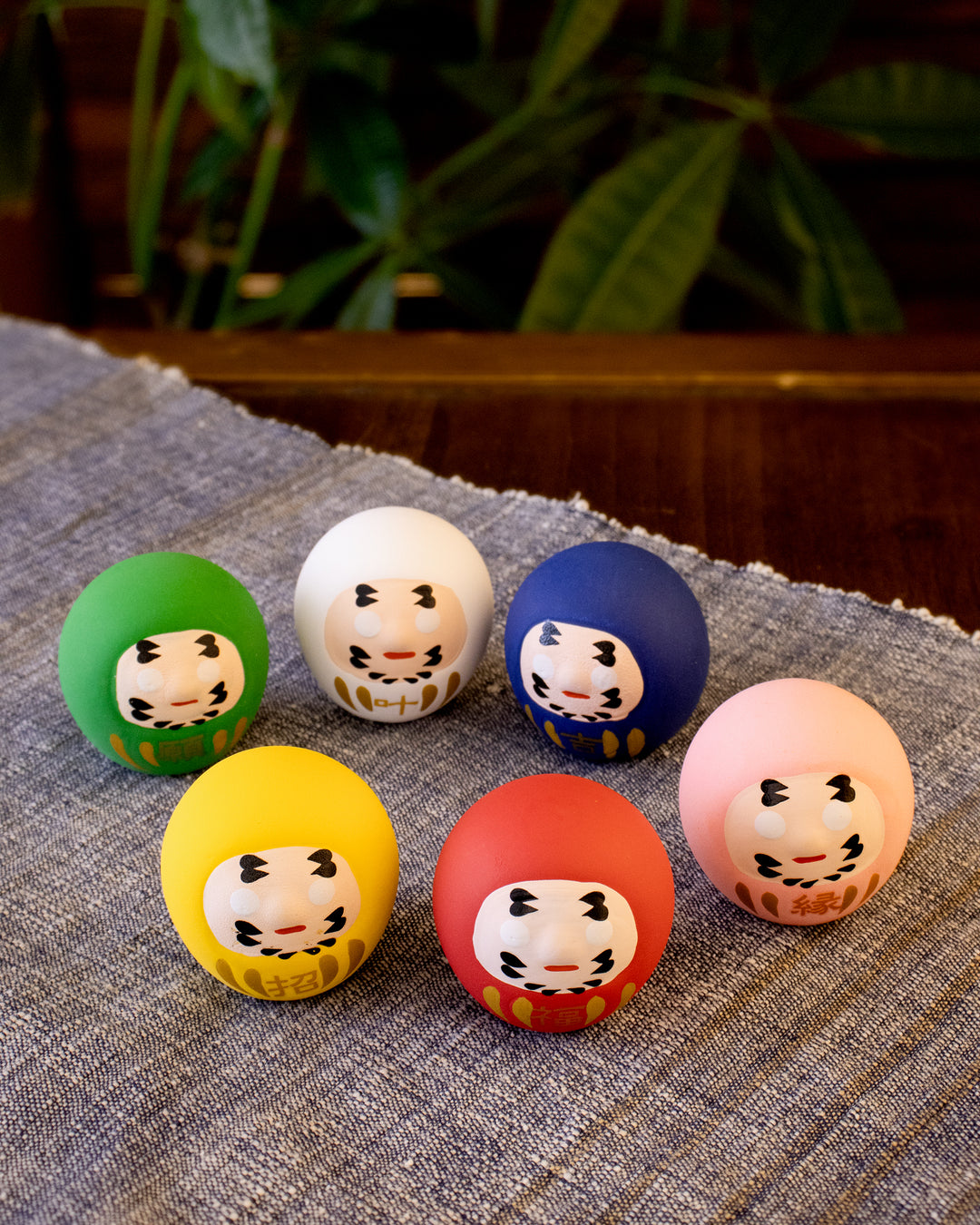 Wa Modern, Omikuji Daruma