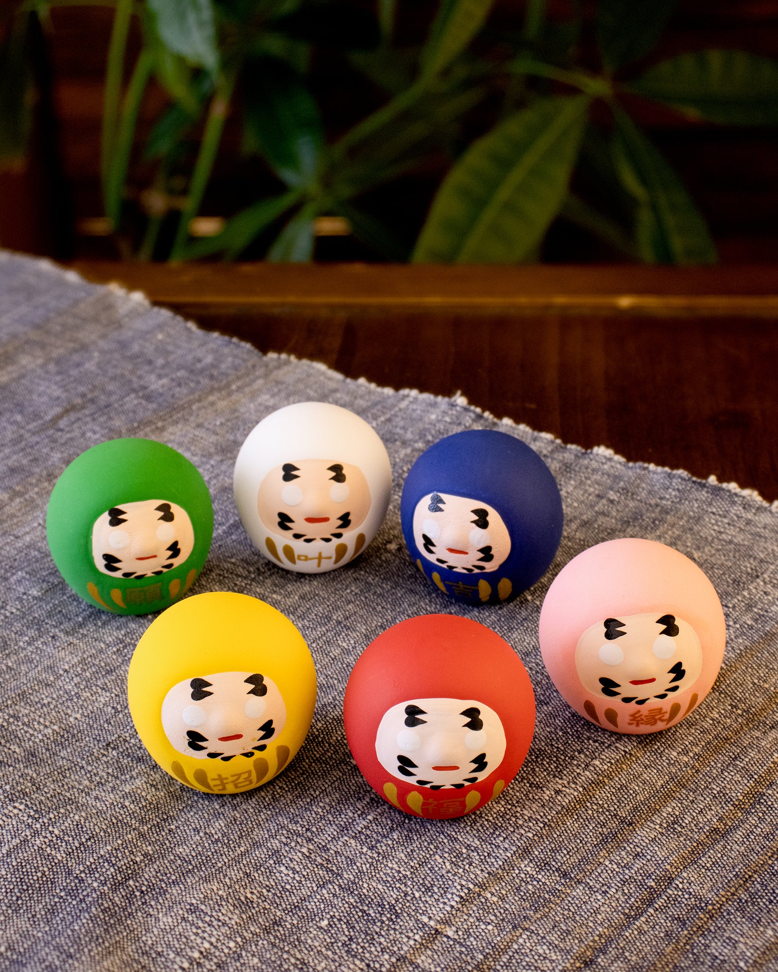 Wa Modern, Omikuji Daruma