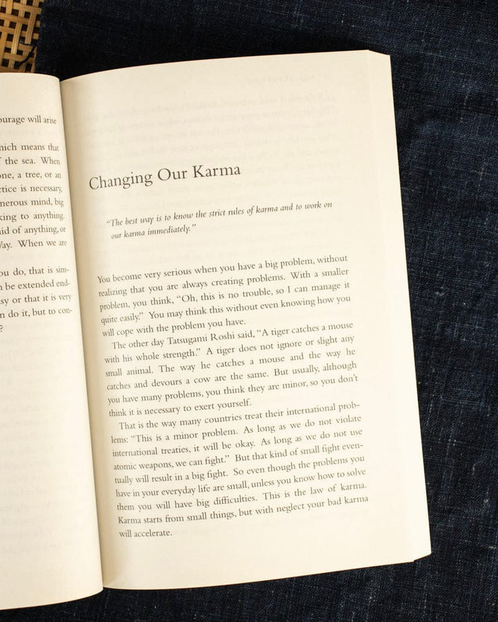 ENG: Not Always So–Practicing the True Spirit of Zen