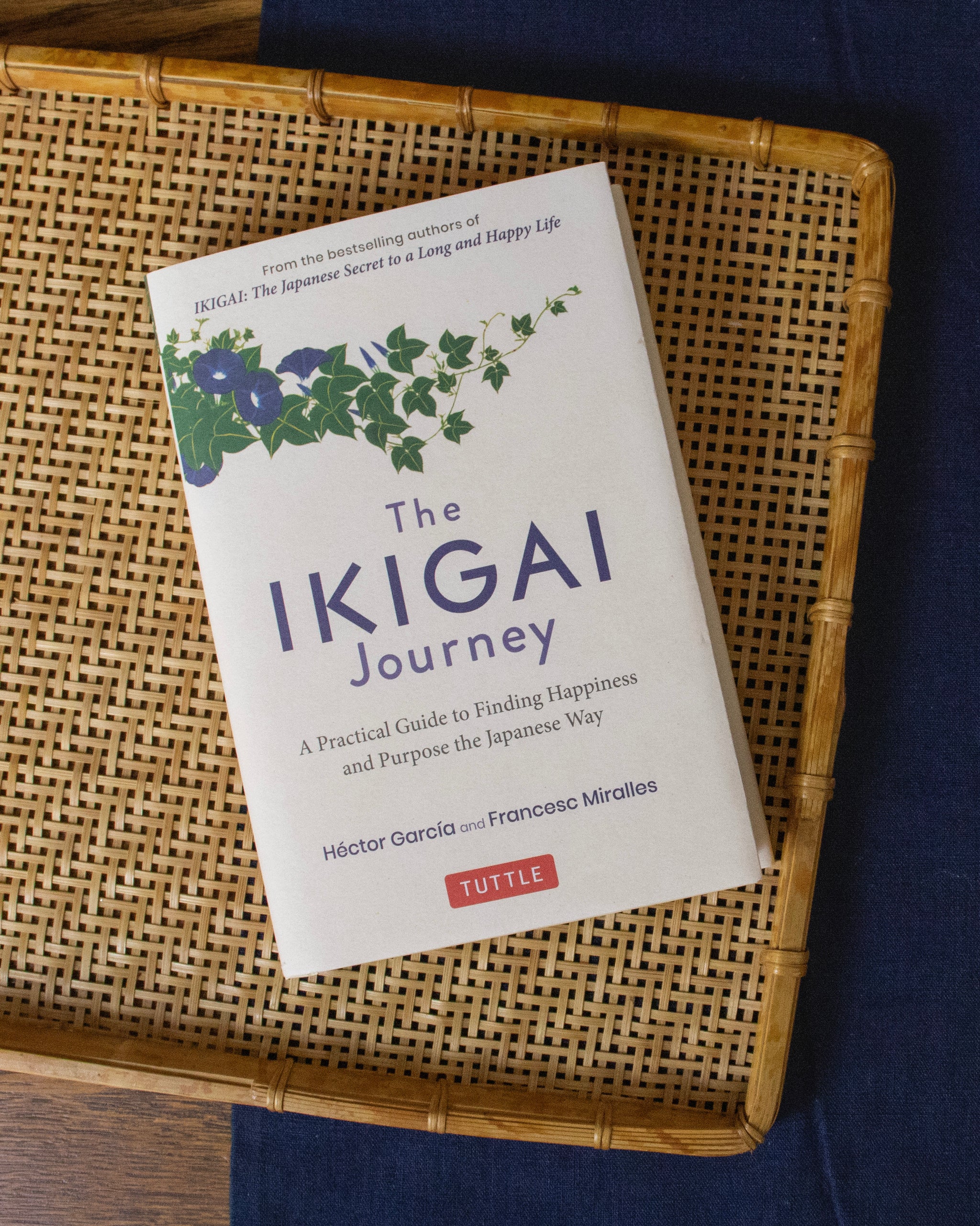 ENG: The IKIGAI Journey: A Practical Guide to Finding Happiness