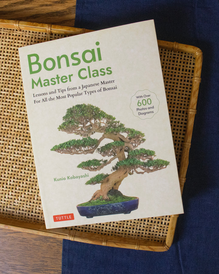 bonsai tree book Bonsai Master Class: Lessons and Tips from a Japanese Master for All the Most Popular Types of Bonsai (with Over 600 Photos & Diagrams)