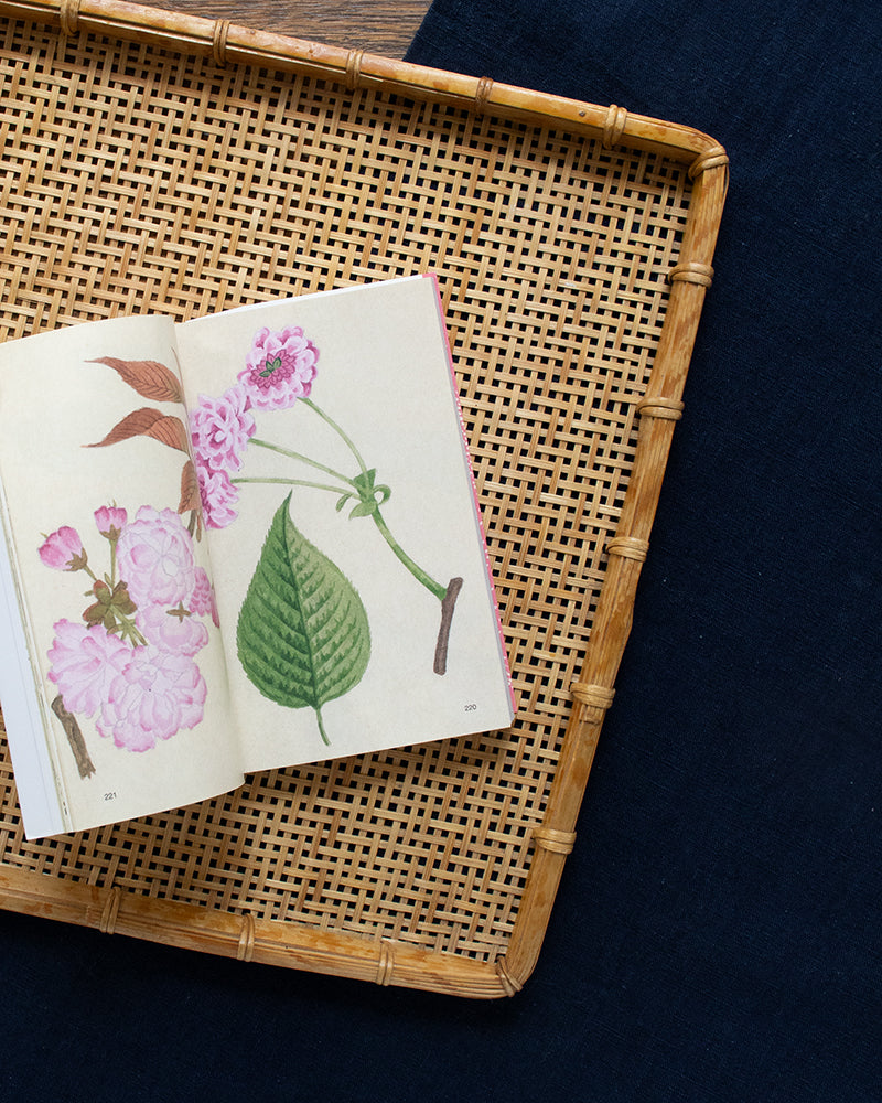 JPN: Patterns of Sakura