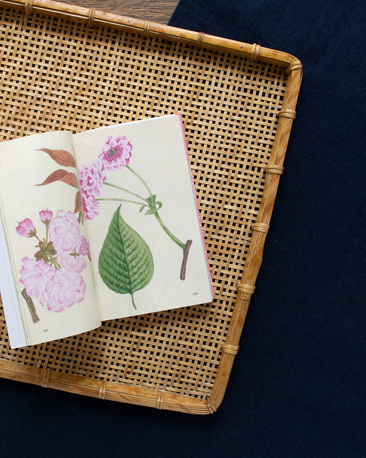 JPN: Patterns of Sakura