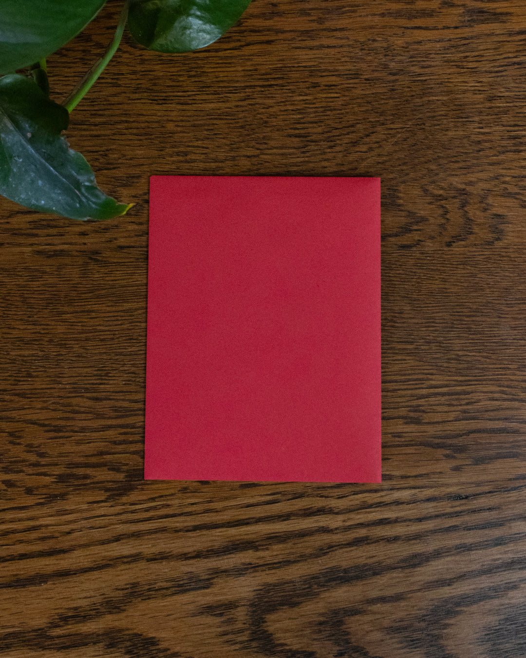 Greeting Cards, Card with Envelope, Year of the Horse, Color Blocked