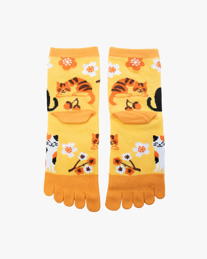 Kurochiku, Toe Socks, Crew, Orange and Yellow with cat