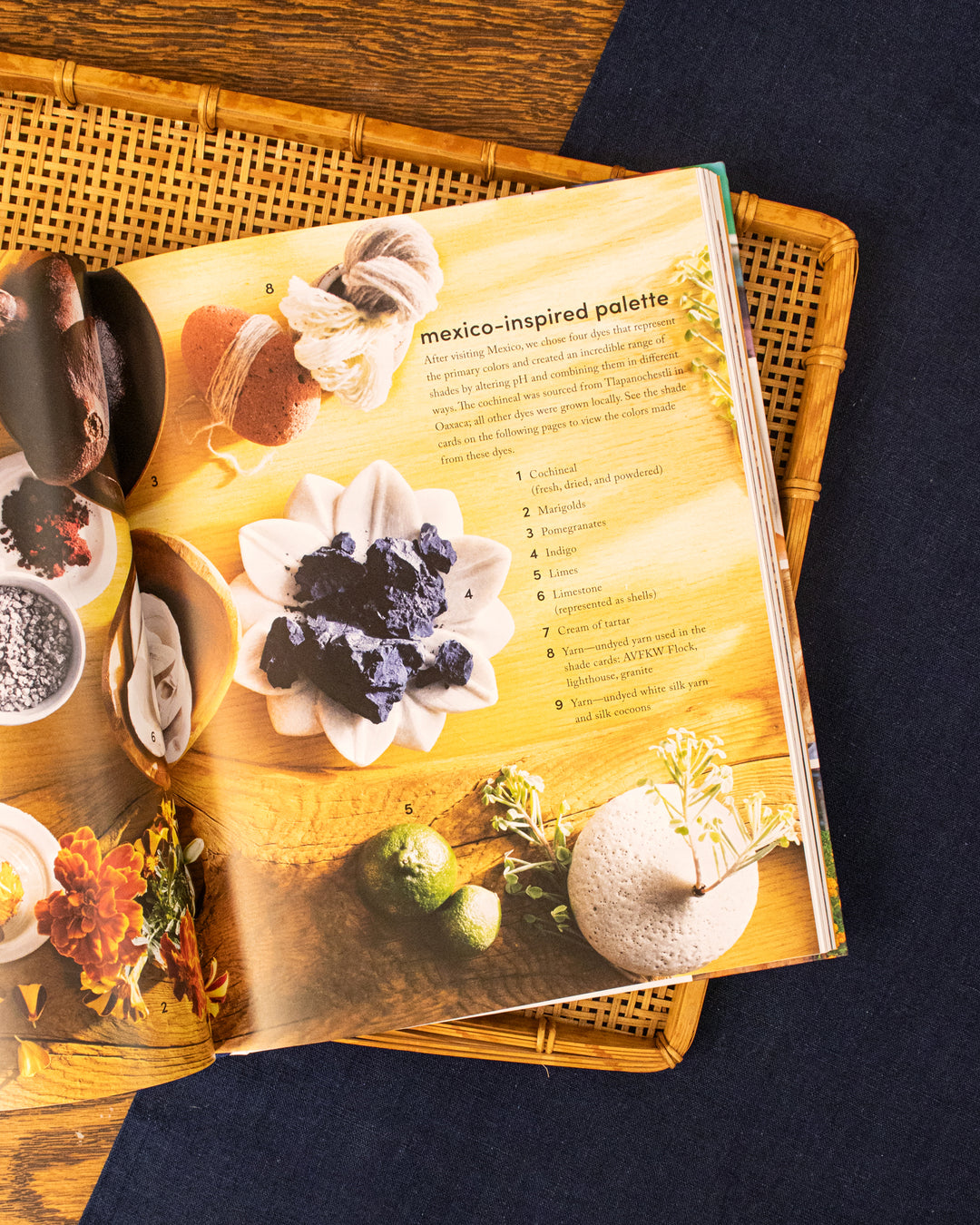 ENG: Journeys in Natural Dyeing by Kristine Vejar and Adrienne Rodriguez