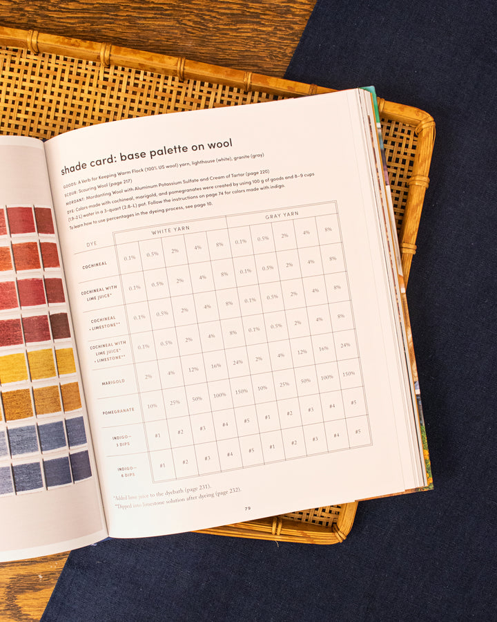 ENG: Journeys in Natural Dyeing by Kristine Vejar and Adrienne Rodriguez