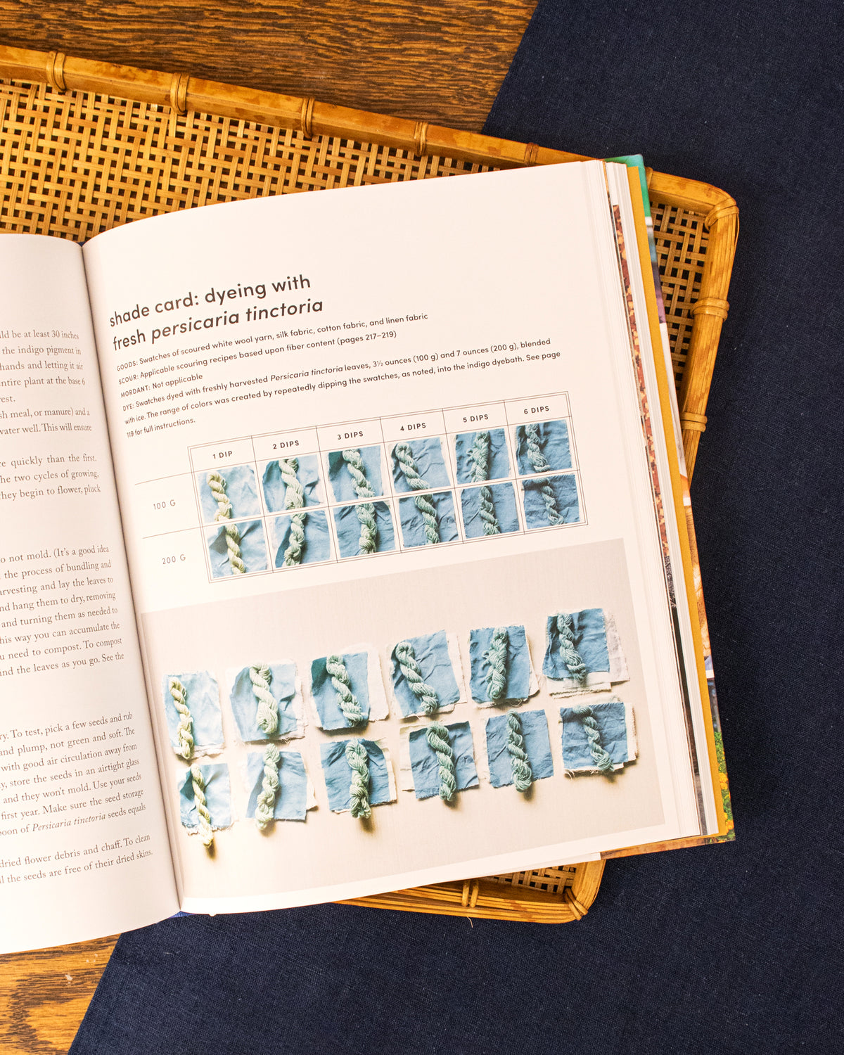 ENG: Journeys in Natural Dyeing by Kristine Vejar and Adrienne Rodriguez