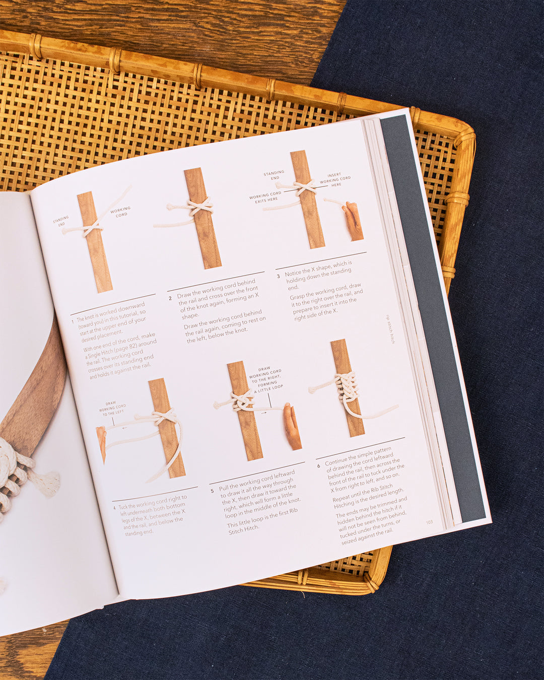 ENG: The Year of Knots by Windy Chien