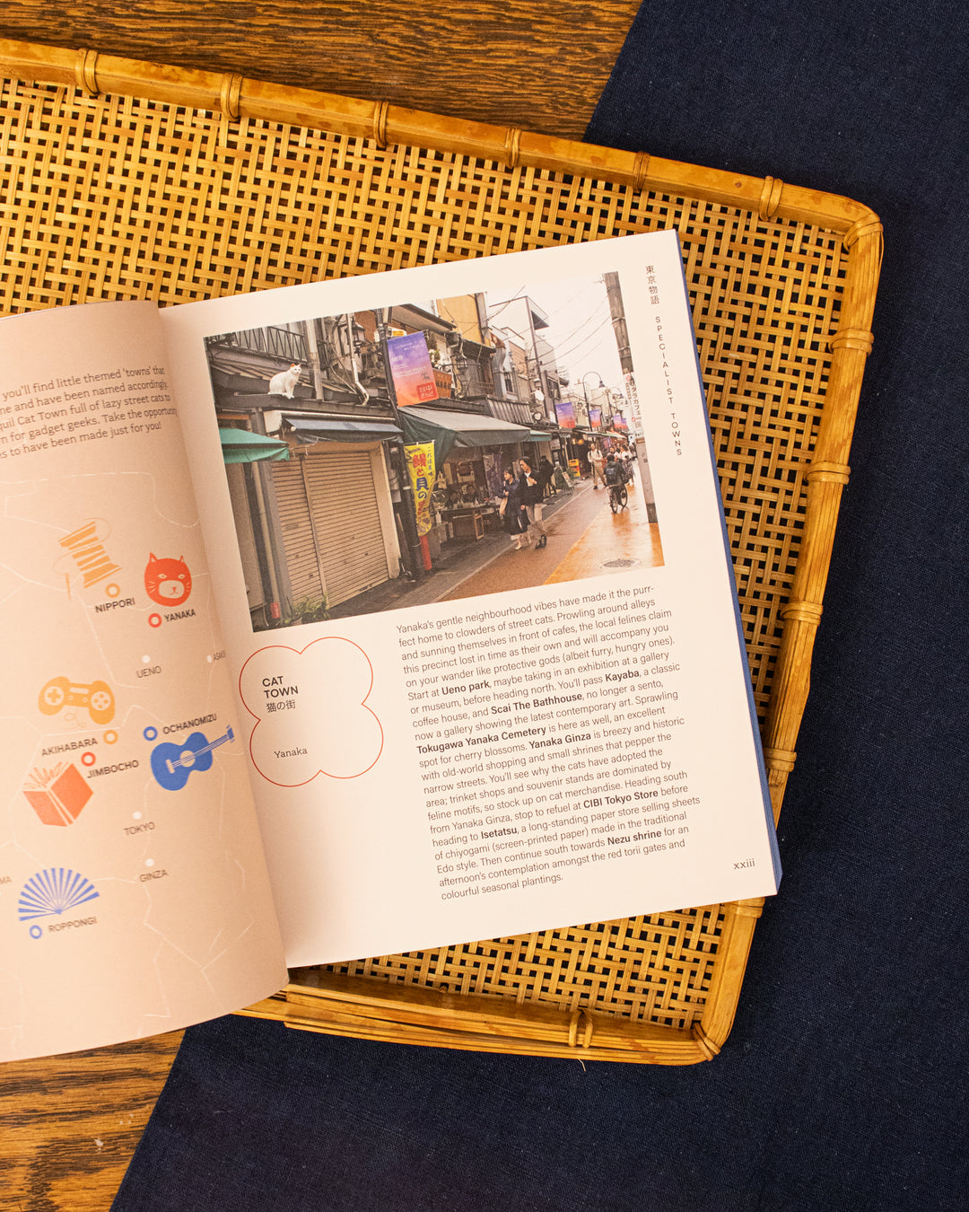 ENG: Tokyo Story: A Guide by Steve Wide &amp; Michelle Mackintosh