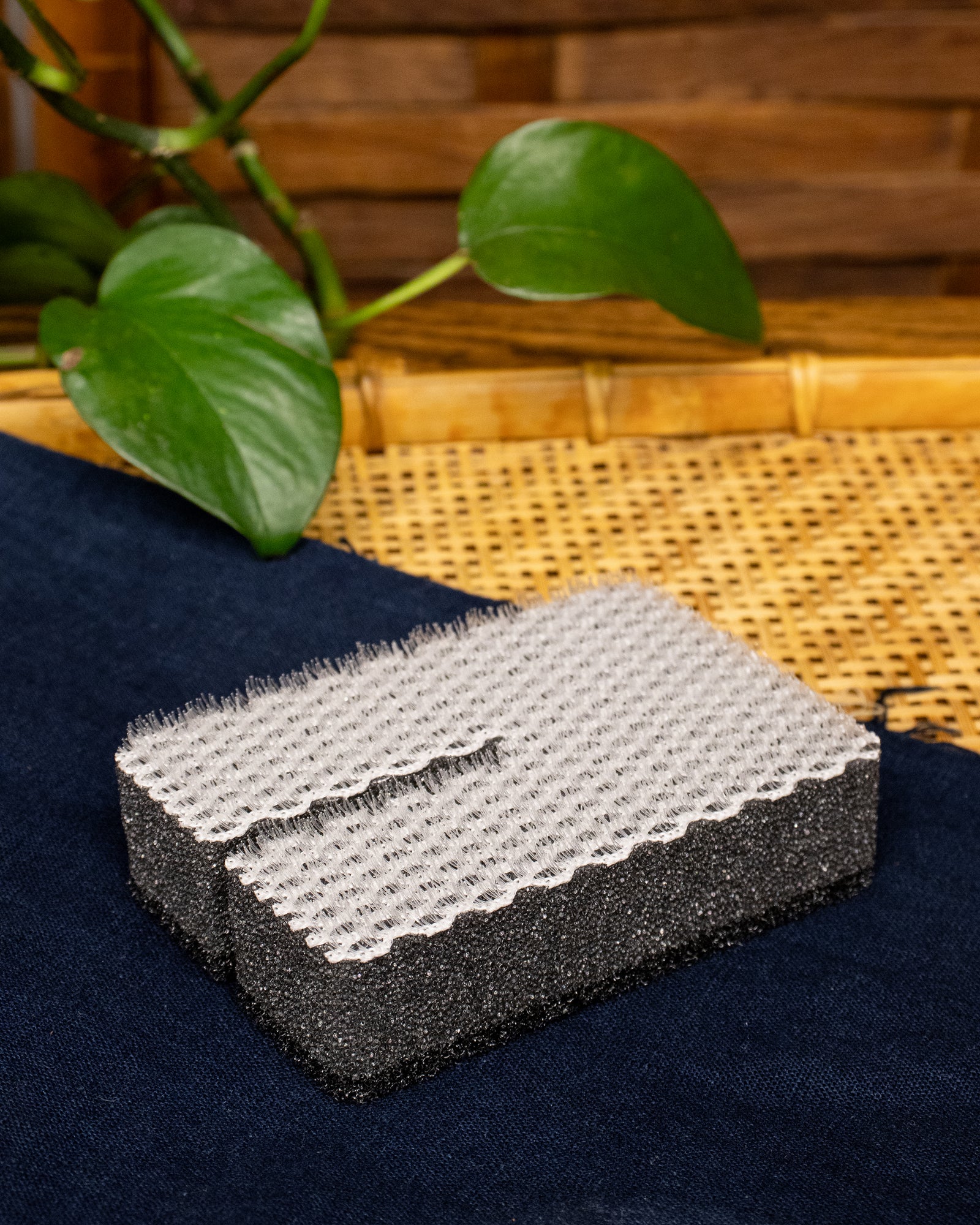 Brush Sponge, Tsuboe