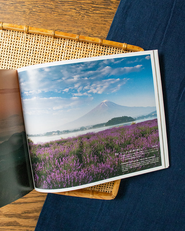ENG/JPN: Eighty-eight views of Mt. Fuji