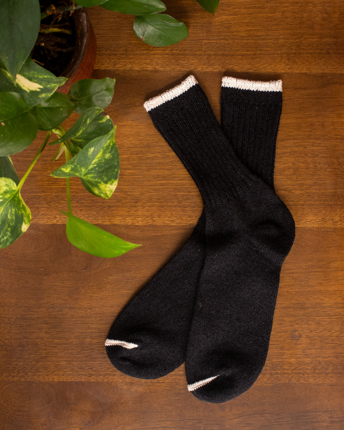 Knitwin, Crew Socks, Silk Cotton, Boston Black