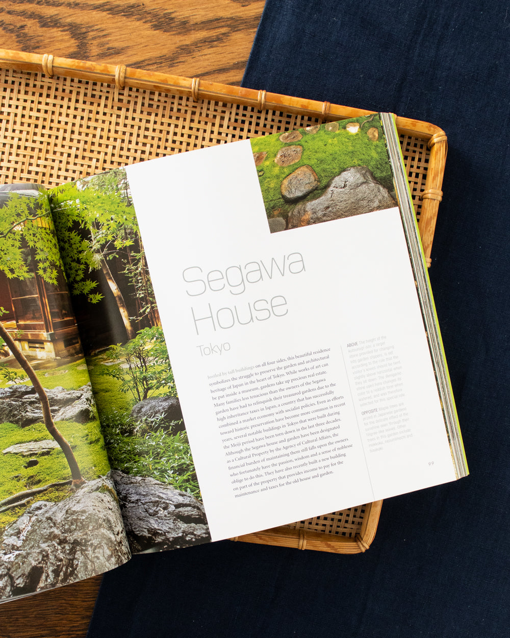 ENG: Japanese Gardens by Geeta K Mehta and Kimie Tada