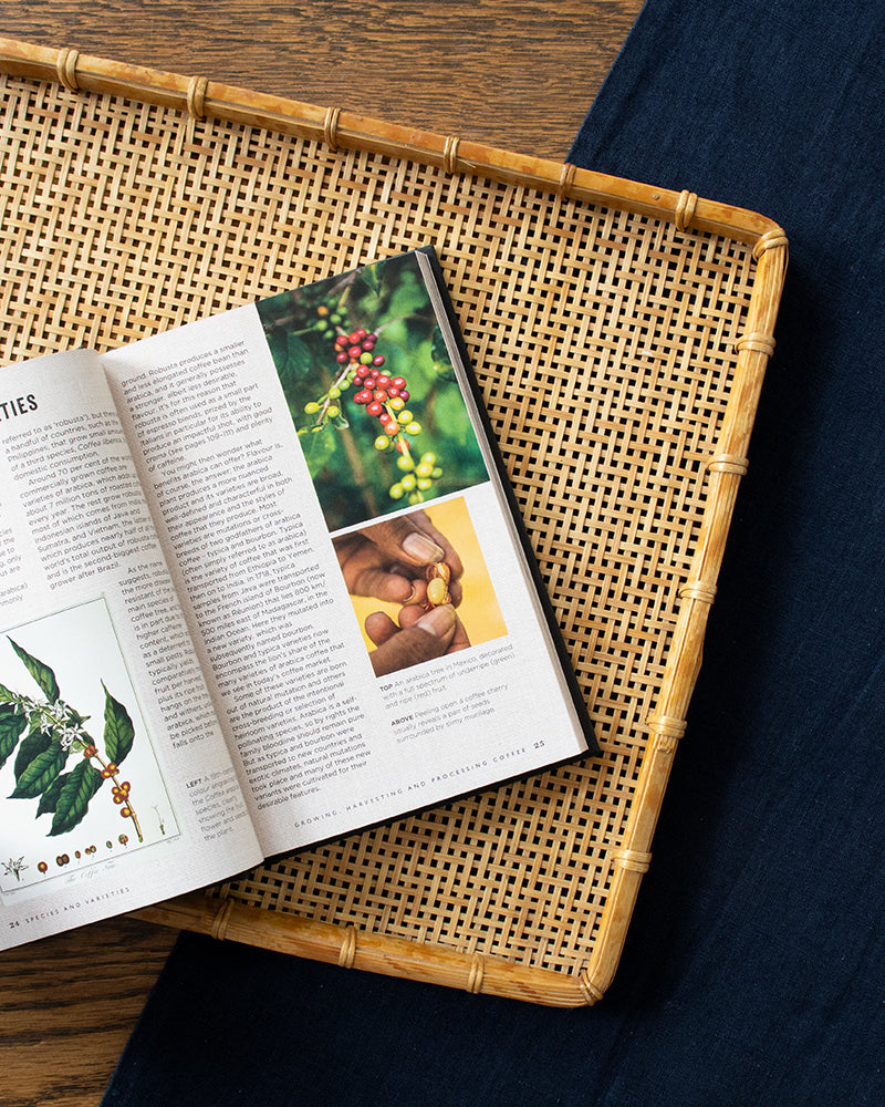 ENG: The Curious Barista's Guide to Coffee by Tristan Stephenson