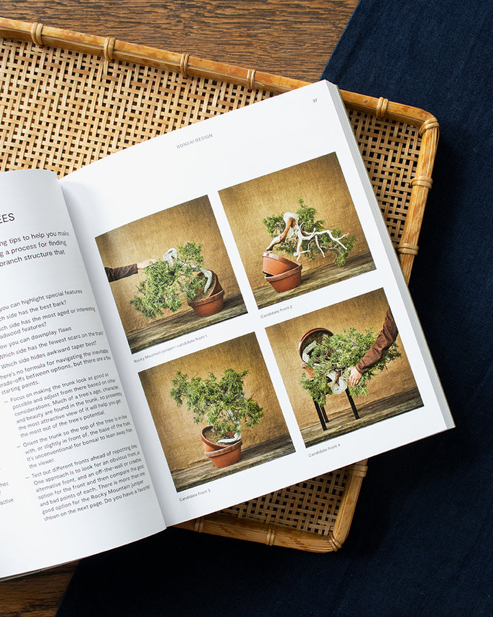 ENG: The Essential Bonsai Book: Techniques for Creating Beautiful Trees by Jonas Dupuich