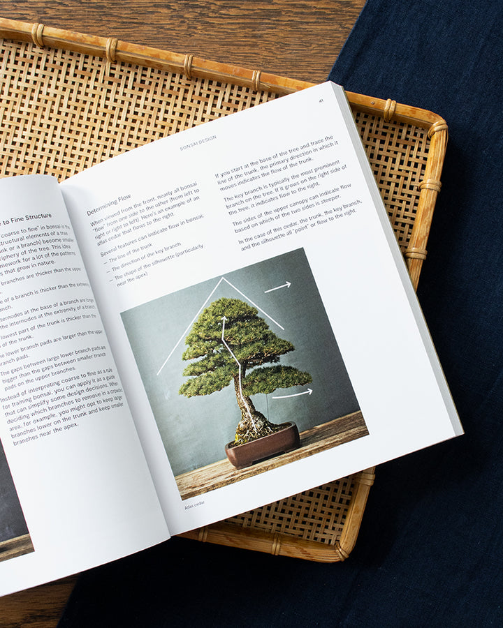 ENG: The Essential Bonsai Book: Techniques for Creating Beautiful Trees by Jonas Dupuich