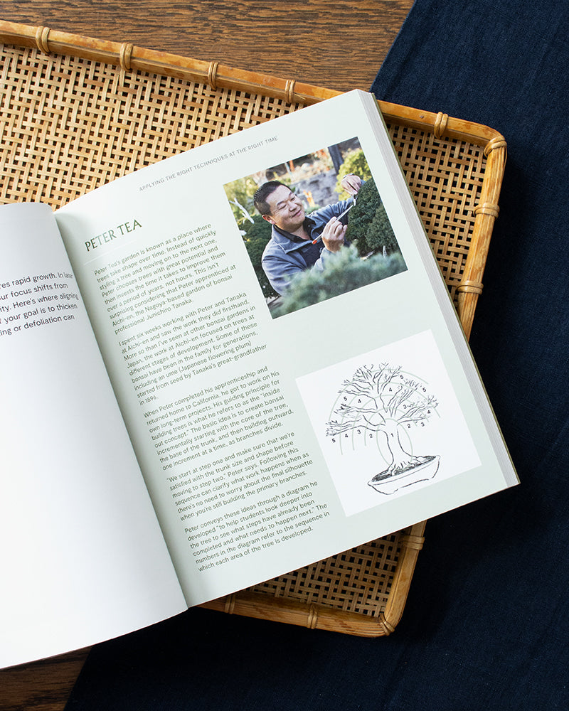 ENG: The Essential Bonsai Book: Techniques for Creating Beautiful Trees by Jonas Dupuich